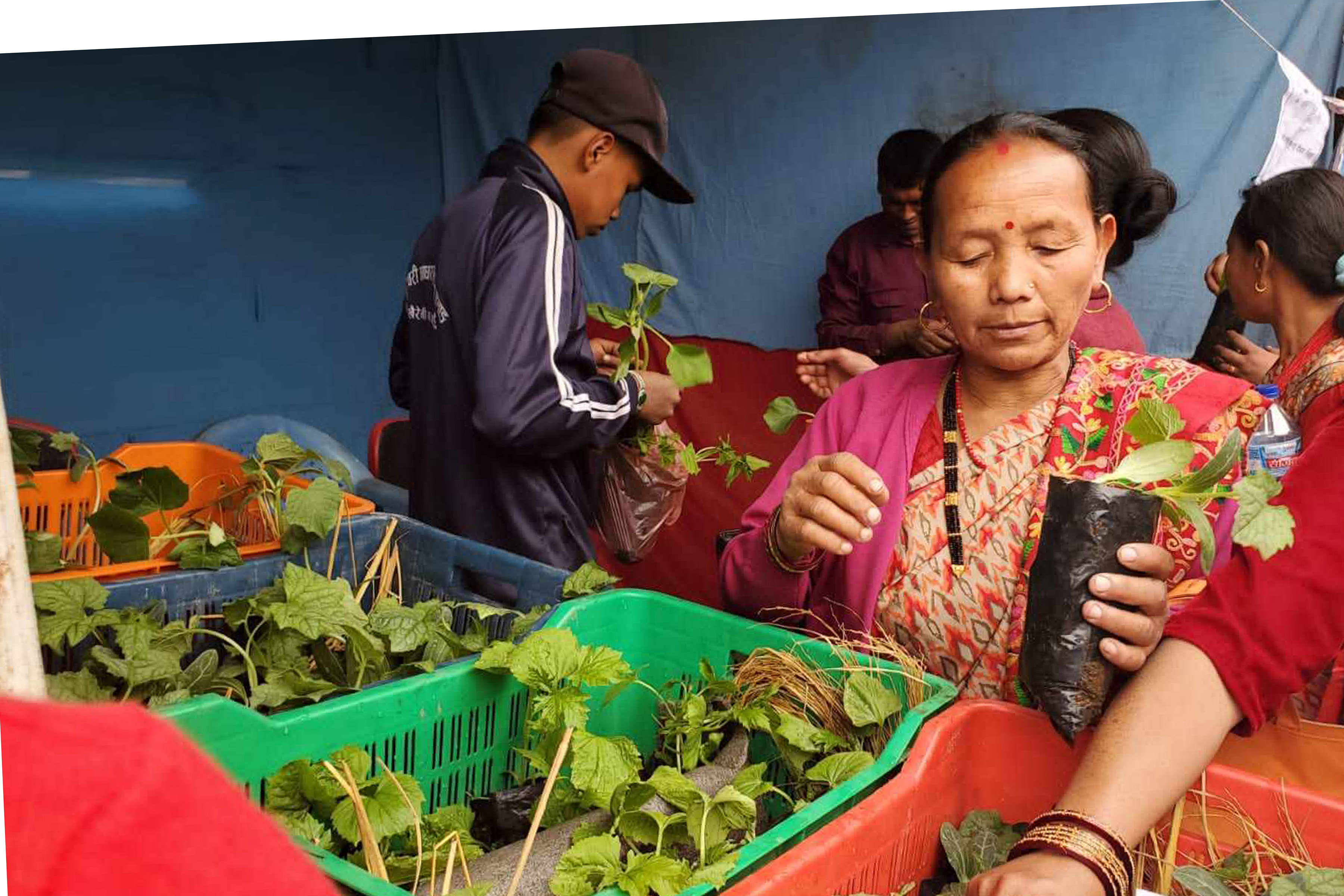 बेर्ना बिक्री गर्दै विद्यार्थी